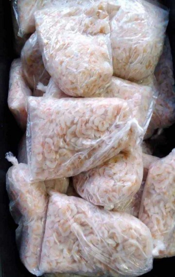 Img 20250418 wa0019 0